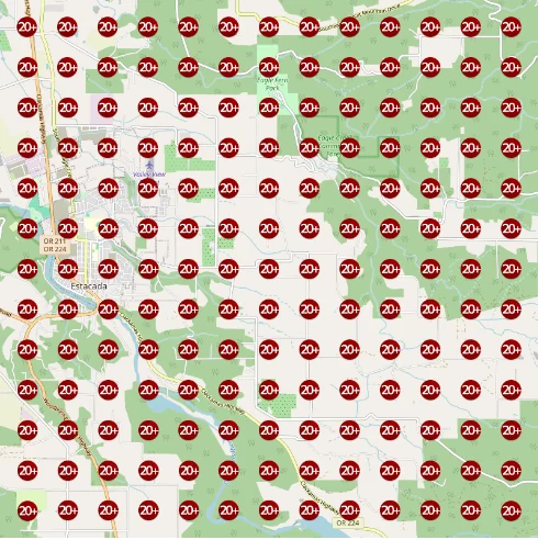 Before: home remodeler not ranking in the top 20 across the scan grid
